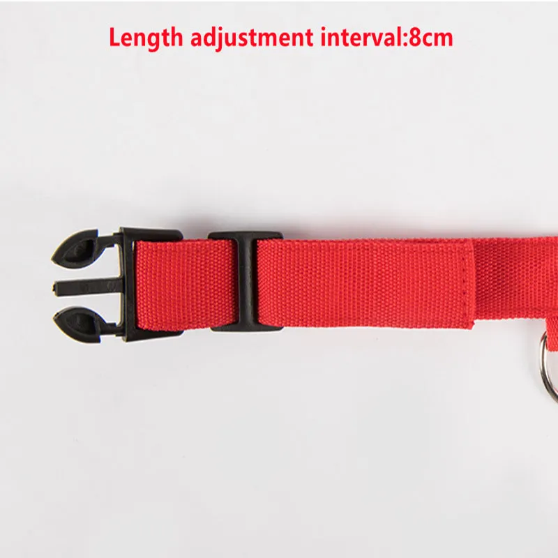 Adjustable LED Glowing Dog Collar