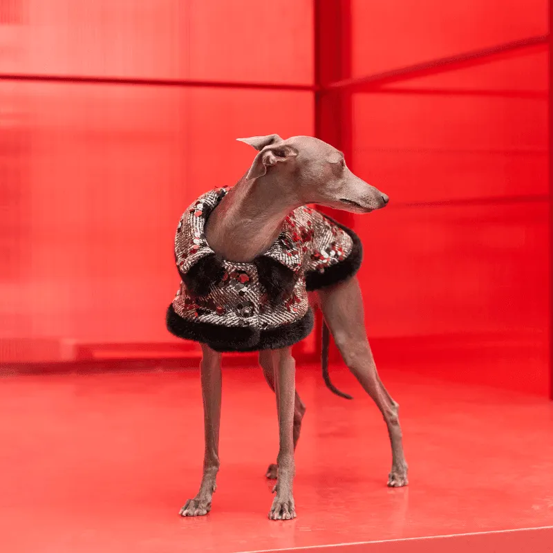Monocle Double Collar Coat