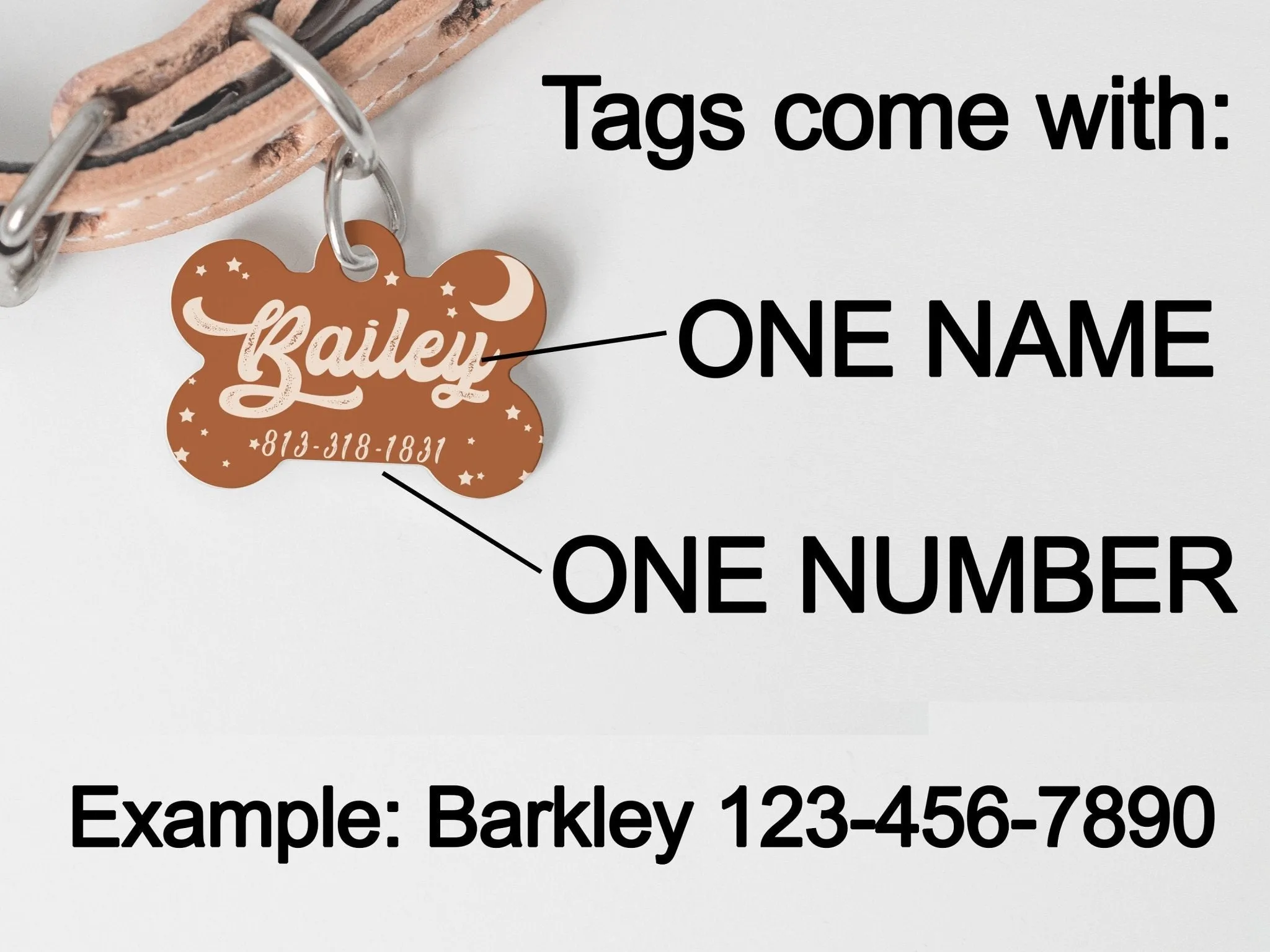 Personalized Dog Collar Custom Dog Tag